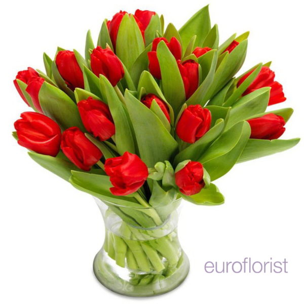Bukiet dwudziestu czerwonych tulipanów wstawionych w wazon z wodą - dostawa poczty kwiatowej łódź, zgierz