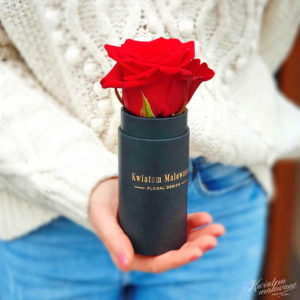 Flower Box Mini Czarny z czerwoną wieczną różą trzymany w ręku Poczta Kwiatowa Kwiatem Malowane