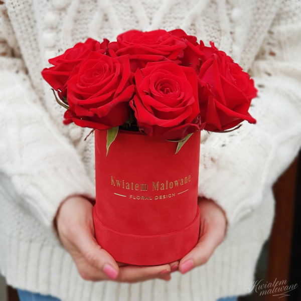 Flower Box mały czerwony flokowany czerwona roza trzymany w rękach na jasnym tle w kwiaciarni Kwiatem Malowane Poczta Kwiatowa