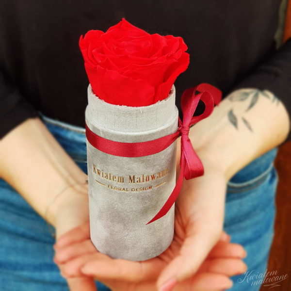 Flower Box Mini Szary Flokowany z czerwoną różą trzymany w ręku Poczta Kwiatowa Kwiatem Malowane