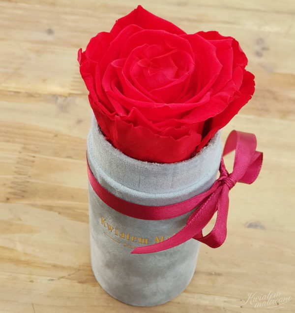Flower Box Mini Szary Flokowany z czerwoną różą - widok w góry