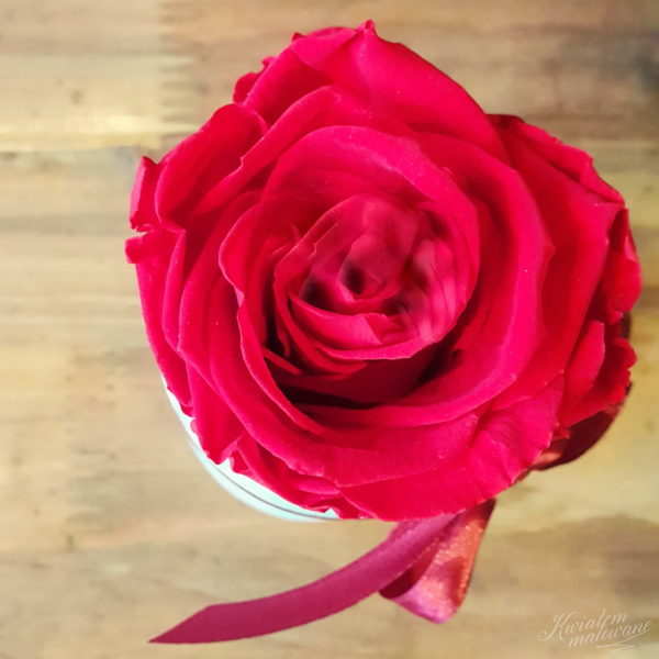 Flower Box Mini Szary Flokowany z czerwoną różą - widok z góry