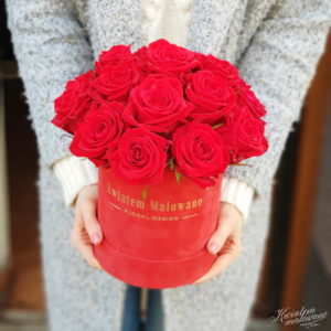Flower Box sredni czerwony flokowany czerwona roza trzymany w rękach na jasnym tle w kwiaciarni Kwiatem Malowane Poczta Kwiatowa